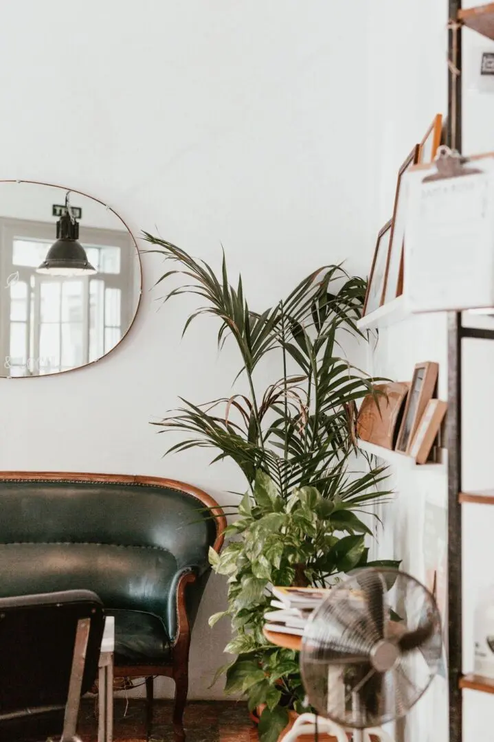 A cozy corner with a green upholstered vintage chair, a tall potted plant, books, and a round mirror on a white wall.